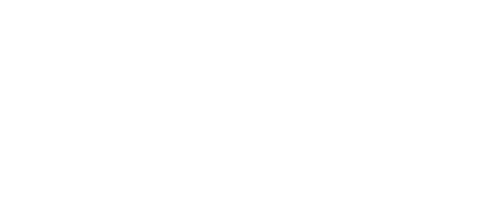GRUAS Y DESGUACES EL CAMPEON S.L. logo