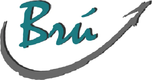 BRU RECUPERACIONES, S.L. logo