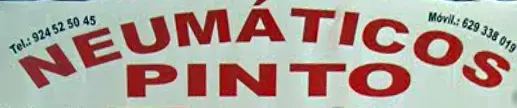 DESGUACES PINTO logo