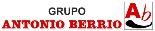 CHATARRERIA Y DESGUACE ANTONIO BERRIO SL logo