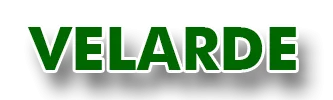 DESGUACE VELARDE, S.L. logo
