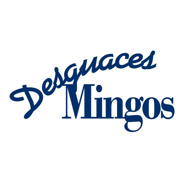 DESGUACES MINGOS logo