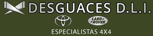 Desguaces D.L.I. logo